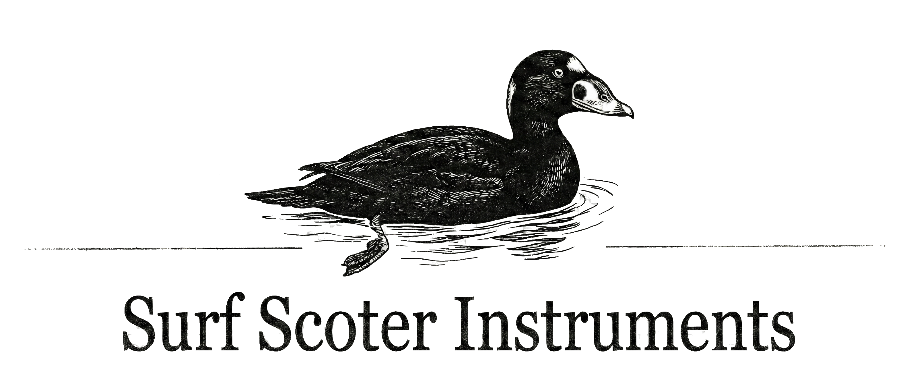 Surf Scoter Instruments